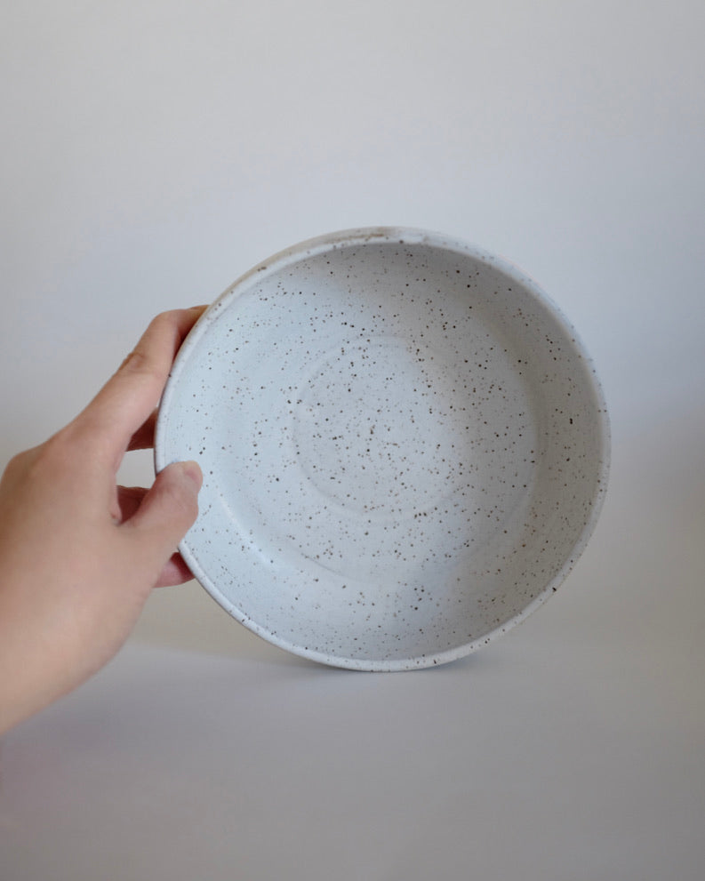 Low bowl — speckled satin white